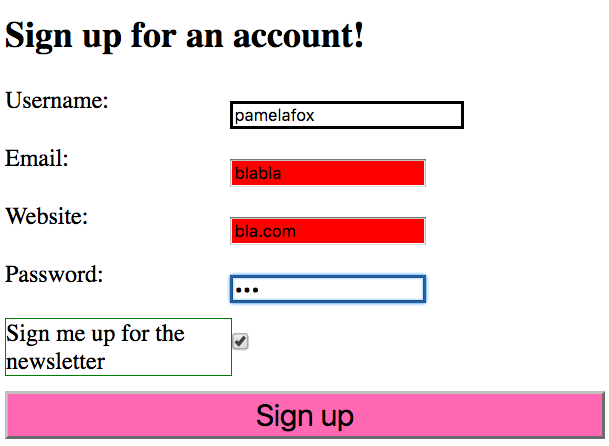 screenshot of CSS form selectors exercise